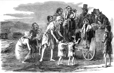 Irish Potato Famine picture